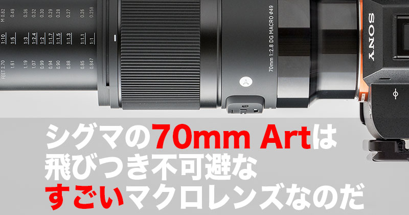 試写付カミソリマクロ】SIGMA 70mm f2.8 DG Macro Art - レンズ(単焦点)